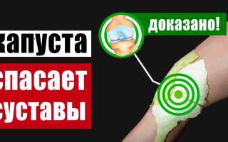 Из чего сделать компресс на колено