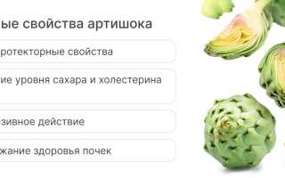Влияние артишока на организм и польза для беременных женщин