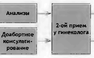 Как использовать лавровый лист для прерывания беременности: подробные инструкции