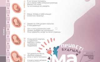 Чего ждать в теле в течение недели после оплодотворения?