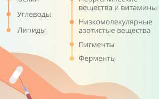 Сдача всех необходимых анализов для проверки свертываемости крови: полный перечень