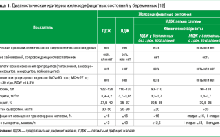 Роль и нормы уровня ферритина в организме беременных женщин