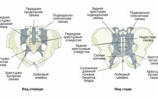 Крестцово-подвздошный сустав: полное руководство и необходимая информация.