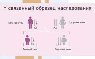 Возможно ли выбрать пол ребенка при программе ЭКО – правда или вымысел?