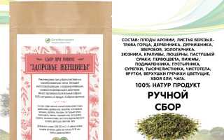 Эффективные полезные травы при миоме матки – свойства и преимущества использования в лечении.
