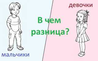 Преимущества и особенности мальчиков и девочек: изучаем различия и сходства