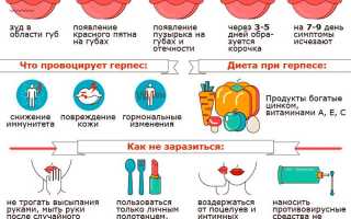 Все, что вам нужно знать о симптомах, лечении и профилактике герпеса тройничного нерва
