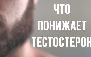 Как пиво влияет на уровень тестостерона у мужчин?