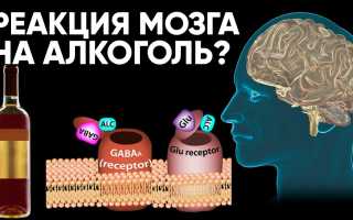 Последствия взаимодействия альмагеля и алкоголя: правила приема и возможные негативные эффекты