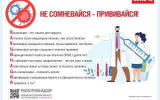 Прививка от коклюша во время беременности: безопасность и эффективность этой меры защиты.