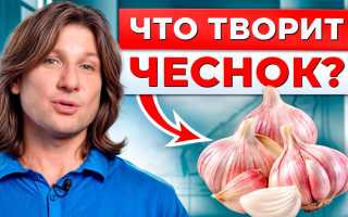 Целебные свойства и эффективность чеснока при лечении псориаза
