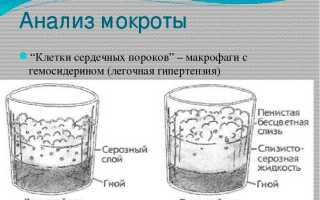 Подробная инструкция: как правильно собрать мокроту для анализа