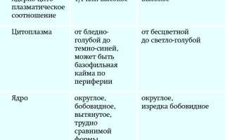 Что происходит при плазматизации цитоплазмы лимфоцитов и как это влияет на организм ребенка