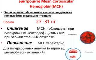Значение MCH в анализе крови: определение, норма и его важность