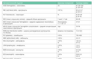 Как правильно оформить и интерпретировать результаты общего анализа крови?