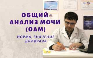 Амилаза в моче: норма у детей и основные аспекты, которые важно знать