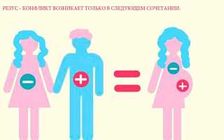 Аллоиммунные антитела: определение и роль в организме
