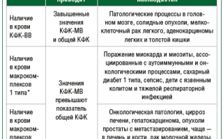 Причины, симптомы и лечение повышенного уровня креатинкиназы в крови
