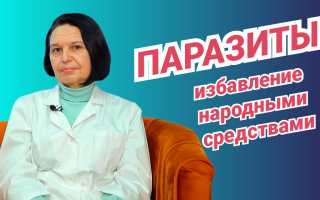 Как эффективно лечить токсоплазмоз с помощью народных средств