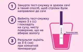 Как правильно делать тест на беременность: пошаговая инструкция с фото