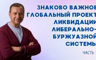 Основы и преимущества электронной биофункциональной органометрии: все, что вам необходимо знать