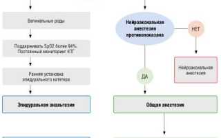 Потенциальные риски и меры предосторожности, связанные с применением рентгеновских исследований перед началом беременности