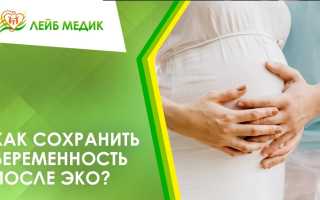 Рекомендации и правила для правильного проведения теста на беременность после ЭКО