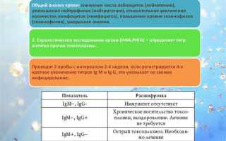 Эффективные препараты и методы лечения токсоплазмоза у человека – обзор на сайте о здоровье и медицине