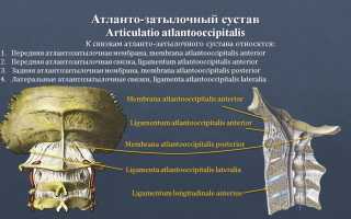 Структура и функции атлантозатылочного сустава, возможные заболевания и методы их лечения