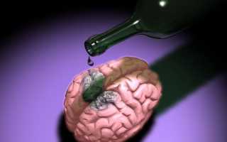 Почему люди быстро опьяняются: научное объяснение и механизмы воздействия алкоголя