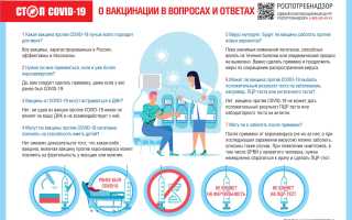 Получение справки о вакцинации от кори: кому необходимо, где получить и какова продолжительность ее действия