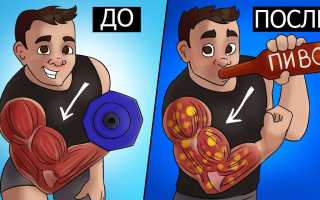Воздействие алкоголя на мышцы: источники и эффекты