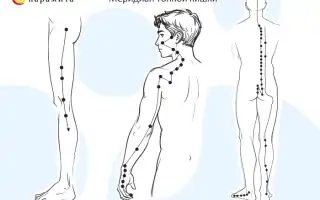 Основные приемы и техники самомассажа в остеопатии, которые можно освоить самостоятельно