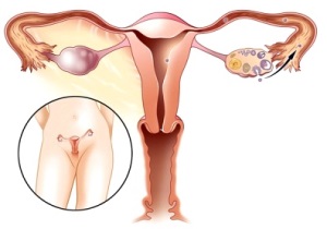У вас выделения при овуляции? Не паникуйте, давайте разберемся.