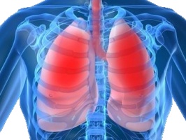 Боль в грудной клетке Боль в грудной клетке