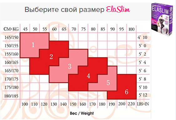 Размерная сетка