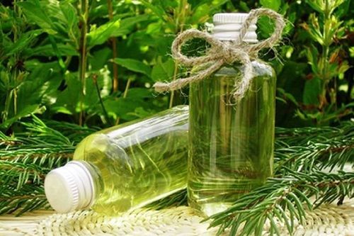 o-polze-sosnovoj-xvoi-kupit