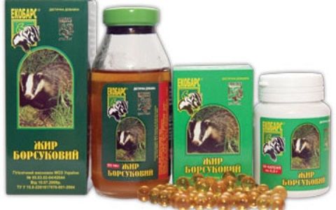 Чем полезен барсучий жир