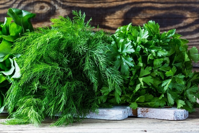 петрушка и укроп
