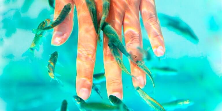 Пилинг рыбками на руке