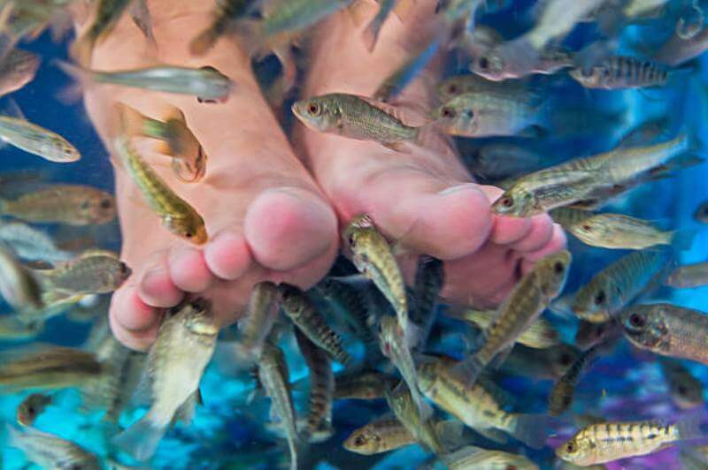 пилинг рыбками Гарра Руфа