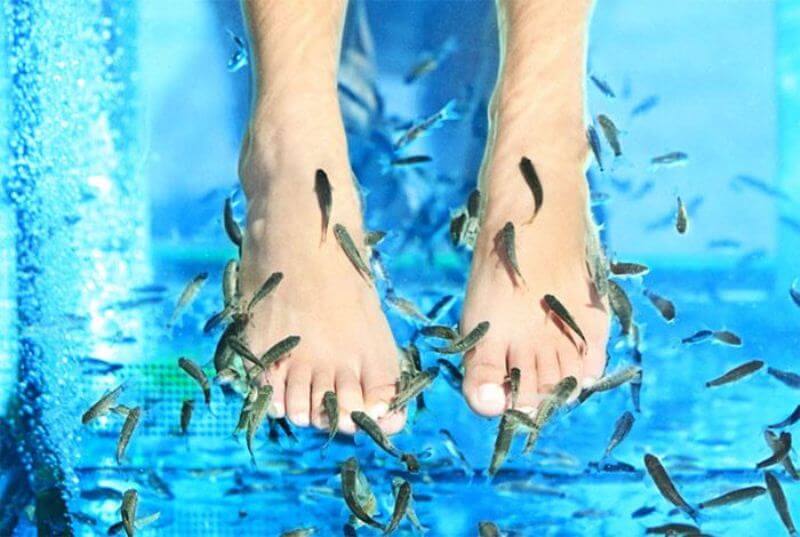 Пилинг особыми рыбками