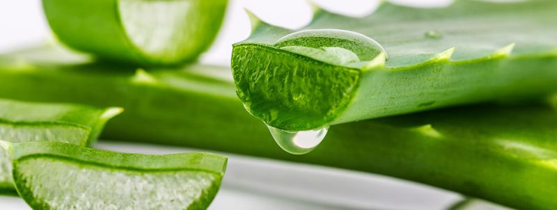 Алое вера