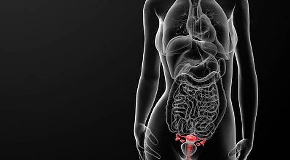 хламидиоз у женщин фото