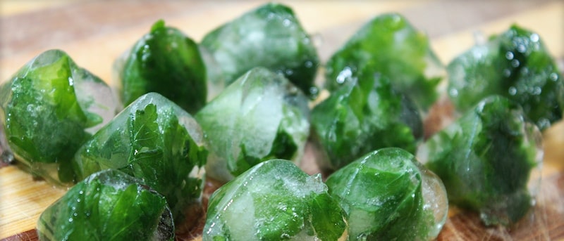 Петрушка и лед