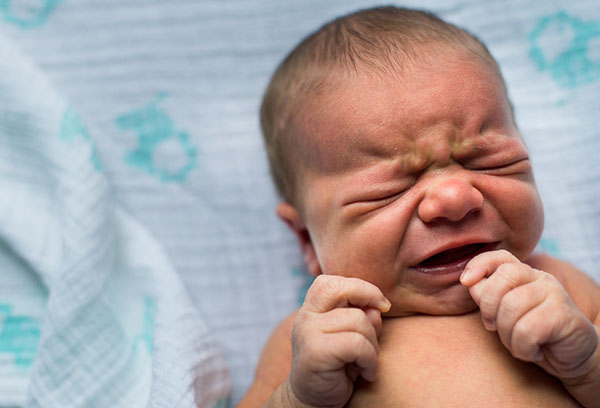 u-novorozhdennogo-shelushitsya-kozha